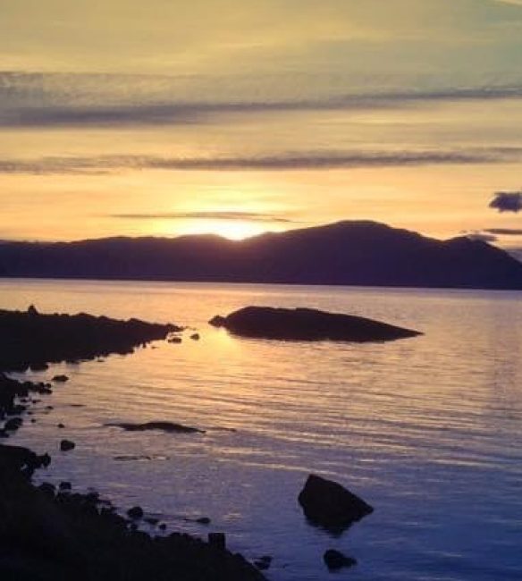 Services & Your Therapeutic Journey